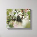 Suche nach kolibri leinwandbilder Blumen