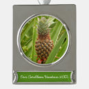 Suche nach tropische frucht ornamente Ananas