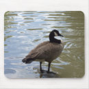 Suche nach schwarze federn mousepads Schwarzes