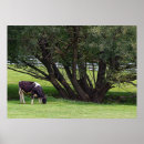 Suche nach country poster Rural