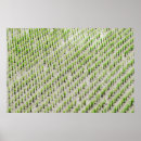 Suche nach reise reihe poster Natur