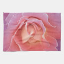 Suche nach empfindliche rose Rosa