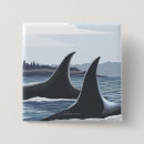 Suche nach vintage plakate buttons Alaska