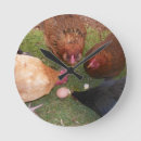 Suche nach huhn wanduhren Bauernhof