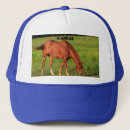Suche nach horse kappen Pferd