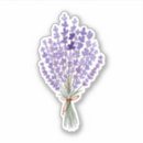 Suche nach weiße wildblumen aufkleber Aquarell