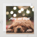 Suche nach weihnachtskarten foto einladungen Familie