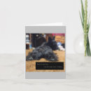 Suche nach sprechen karten Niedlich