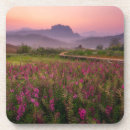 Suche nach mai untersetzer Natur