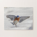 Suche nach singvögel puzzle Tier
