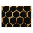 Suche nach bienenwabe postkarten Bienenstock