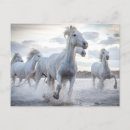 Suche nach weißes pferd postkarten Fotografie