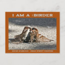 Suche nach spatzen postkarten Naturfotografie