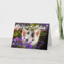 Suche nach lila katze karten Girl