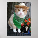 Suche nach katzenbilder poster Lustiges katzenbild