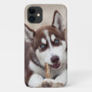 Suche nach husky iphone hüllen Welpe