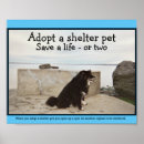 Suche nach adoptieren sie poster Katze