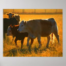 Suche nach weide poster Horizontal