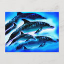 Suche nach delphin postkarten Wasser