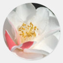 Suche nach botanik blatt aufkleber Blume