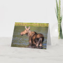 Suche nach montana alle karten Chuck haney