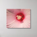 Suche nach detail leinwandbilder Blume