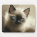 Suche nach unschuld mousepads Kätzchen