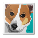 Suche nach walisercorgi Corgis