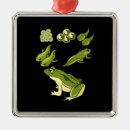 Suche nach biologie ornamente Frosch