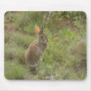 Suche nach niedliches kaninchen mousepads Süß