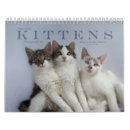 Suche nach kätzchen kalender Tierkalender