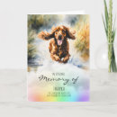 Suche nach spanisches beileidskarten Hund
