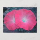 Suche nach glühbirne postkarten Blume