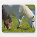 Suche nach isländisches pferd mousepads Tier