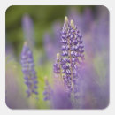 Suche nach robe aufkleber Blume