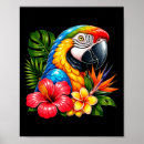 Suche nach bunter papagei poster Sommer
