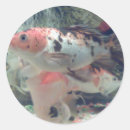Suche nach fish aufkleber Tiere