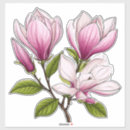 Suche nach magnolienblüte Natur