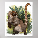 Suche nach südamerikanisch poster Natur