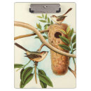 Suche nach vögel klemmbrett Baumzweig