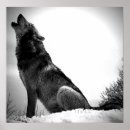 Suche nach howling wolf poster Wolves