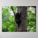 Suche nach baumstamm poster Tier
