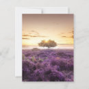Suche nach heide postkarten Lila