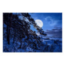 Suche nach tannenbaum poster Blau
