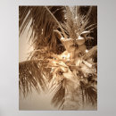 Suche nach key west poster Strand
