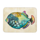 Suche nach bunte fische magnete Porträt
