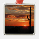 Suche nach kaktus ornamente Arizona