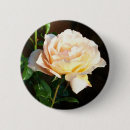 Suche nach rosenknöpfe buttons Blumen