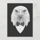 Suche nach tuxen poster Tier