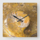 Suche nach fossil wanduhren Paleontology